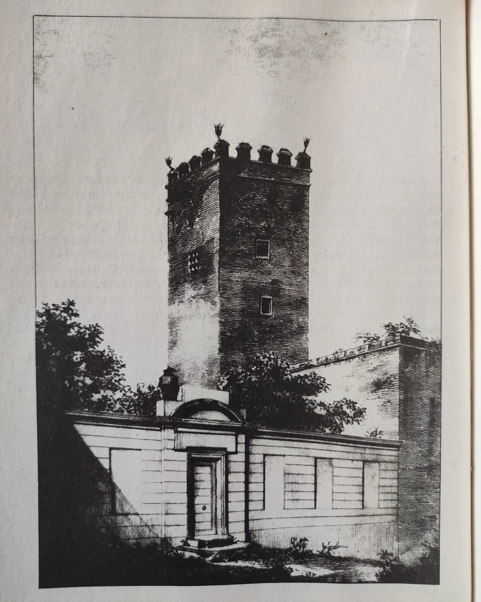 Dettaglio della Torre dei Capocci